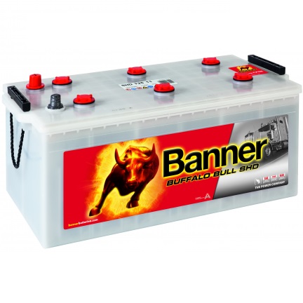 Buffalo Bull SHD 