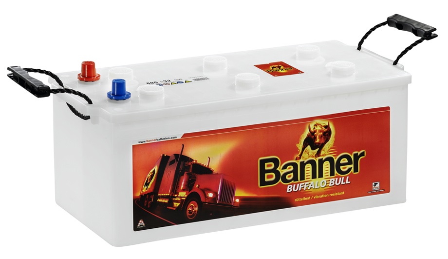BANNER - Buffalo Bull 12V/110Ah  720A (610 47)