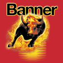 BANNER - Buffalo Bull 12V/110Ah  720A (610 48)