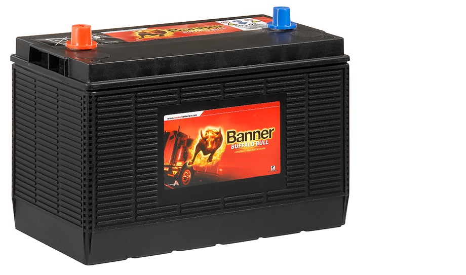 BANNER - Buffalo Bull 12V/105Ah  1000A (605 02)