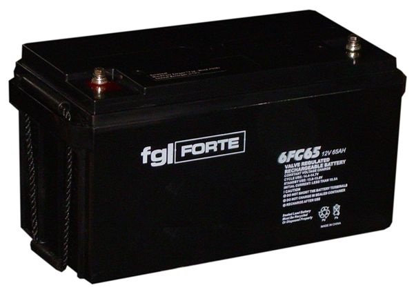 FG-Forte 6FG65 - 12V / 65Ah  C20