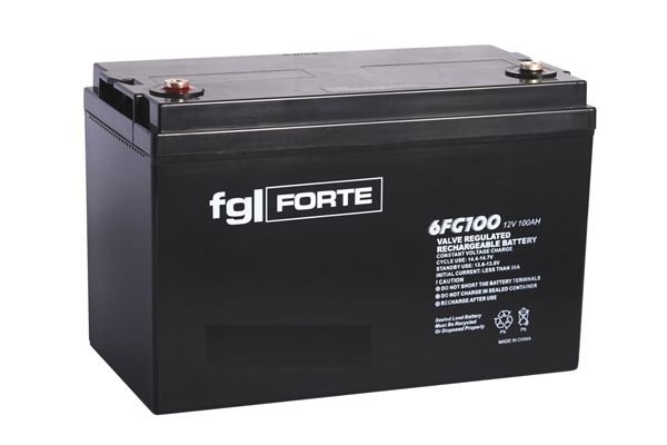 FG-Forte 6FG100 - 12V / 100Ah  C20