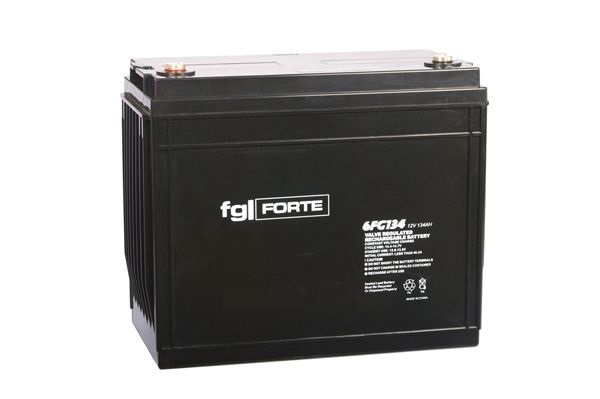 FG-Forte 6FG134 - 12V / 134Ah  C20